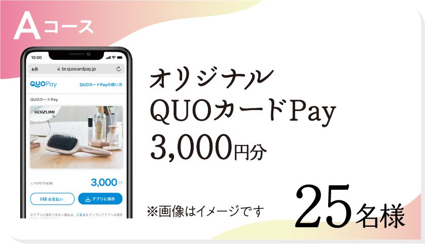 Aコース オリジナルQUOカードPay 3,000円分 25名様